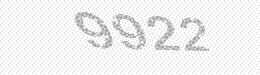 Visual security code — type the characters shown in the image